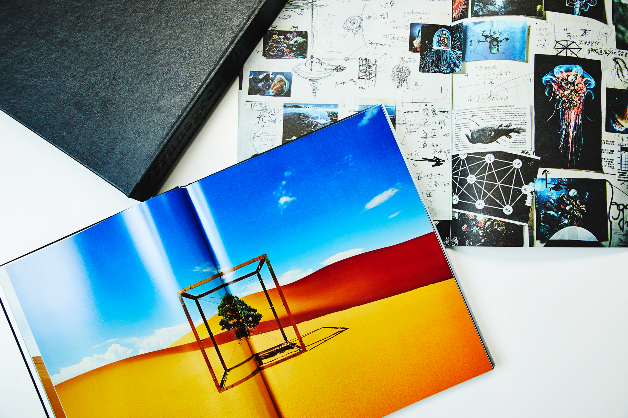 INTERMISSION MADSAKI &JUNTAKAHASHIアートブック GASBOOK 19 MADSAKI JUNTAKAHASHI – by GASBOOK